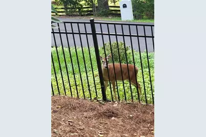 7270 Flowery Branch Road, Cumming, GA 30041 - Photo 48