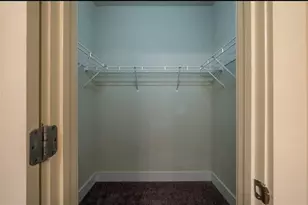 223 Morningstar Way, Ball Ground, GA 30107 - Photo 26