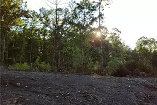 Tr 2 Old Northcutt Rd, Ellijay, GA 30540 - Photo 16