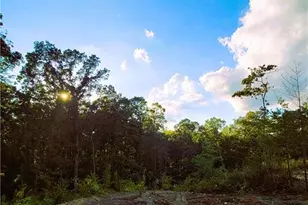 Tr 2 Old Northcutt Rd, Ellijay, GA 30540 - Photo 18