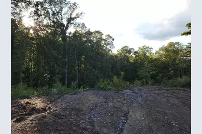 Tr 2 Old Northcutt Road, Ellijay, GA 30540 - Photo 10