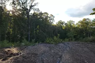 Tr 2 Old Northcutt Rd, Ellijay, GA 30540 - Photo 10