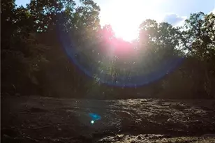 Tr 2 Old Northcutt Rd, Ellijay, GA 30540 - Photo 14