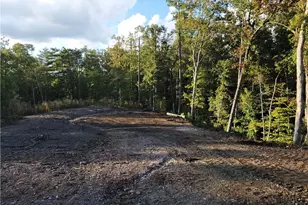 Tr 2 Old Northcutt Rd, Ellijay, GA 30540 - Photo 8