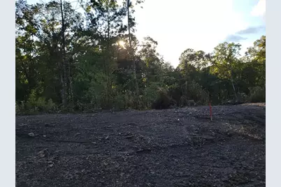 Tr 4 Old Northcutt Road, Ellijay, GA 30540 - Photo 16