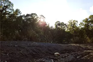 Tr 4 Old Northcutt Rd, Ellijay, GA 30540 - Photo 14