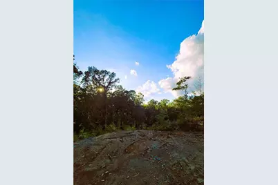 Tr 4 Old Northcutt Road, Ellijay, GA 30540 - Photo 4