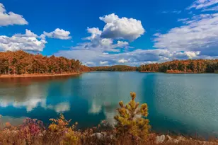 397 Lakeside Ct, Canton, GA 30114 - Photo 38