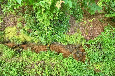 1146 Galloway Road, Blue Ridge, GA 30513 - Photo 26