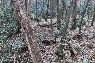 0 Ga Hwy 52, Ellijay, GA 30540 - Photo 8