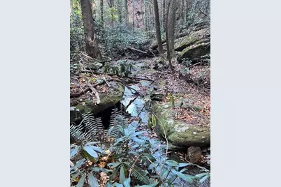 0 Ga Hwy 52, Ellijay, GA 30540 - Photo 6