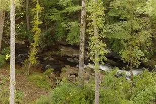 4864 Black Mountain Rd, Dahlonega, GA 30533 - Photo 56