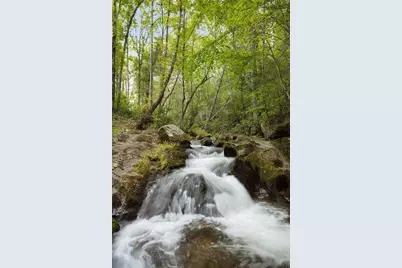 4864 Black Mountain Road, Dahlonega, GA 30533 - Photo 58