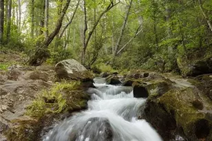 4864 Black Mountain Rd, Dahlonega, GA 30533 - Photo 58