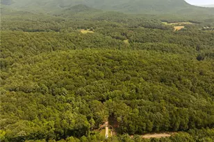 4864 Black Mountain Rd, Dahlonega, GA 30533 - Photo 84