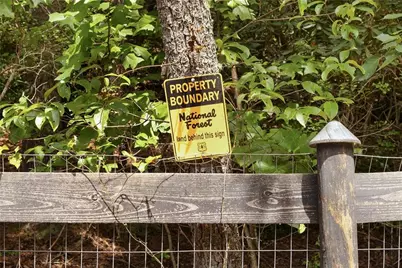 4864 Black Mountain Road, Dahlonega, GA 30533 - Photo 76