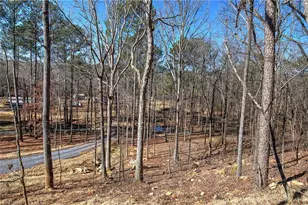 676 Flowery Branch Rd, Kingston, GA 30145 - Photo 64