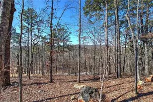 676 Flowery Branch Rd, Kingston, GA 30145 - Photo 58