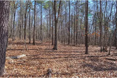 676 Flowery Branch Road, Kingston, GA 30145 - Photo 54