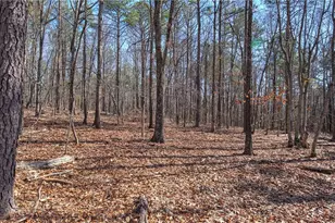 676 Flowery Branch Rd, Kingston, GA 30145 - Photo 54