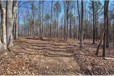 676 Flowery Branch Road, Kingston, GA 30145 - Photo 50