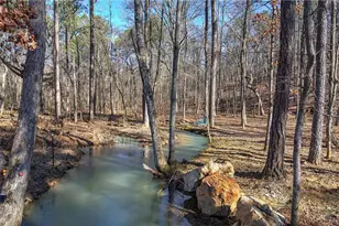 676 Flowery Branch Rd, Kingston, GA 30145 - Photo 48