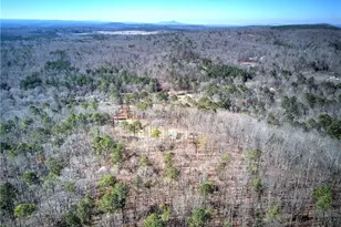 676 Flowery Branch Rd, Kingston, GA 30145 - Photo 86