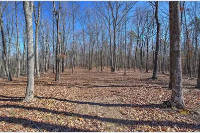 676 Flowery Branch Road, Kingston, GA 30145 - Photo 60