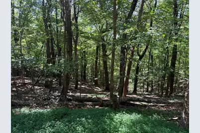 0 Moss Patch Trail, Jasper, GA 30143 - Photo 4