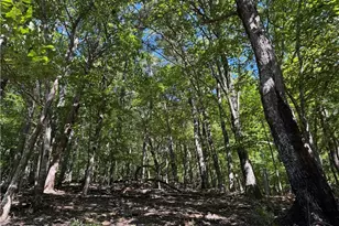 0 Moss Patch Trail, Jasper, GA 30143 - Photo 1