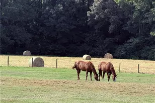 725 County Farm Rd, Jefferson, GA 30549 - Photo 42