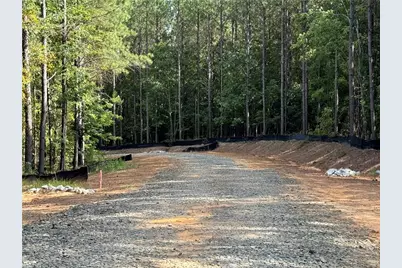 451 Lone Bear Path, Dallas, GA 30132 - Photo 2