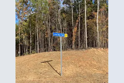 451 Lone Bear Path, Dallas, GA 30132 - Photo 4