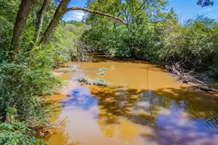 746 Dot Rd, Bowdon, GA 30108 - Photo 64