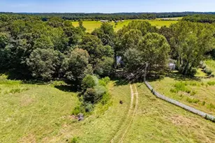 746 Dot Rd, Bowdon, GA 30108 - Photo 78