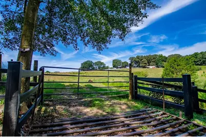 746 Dot Road, Bowdon, GA 30108 - Photo 48