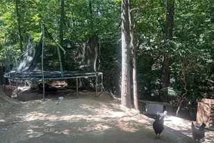 3789 Cherokee Overlook Dr, Canton, GA 30115 - Photo 30