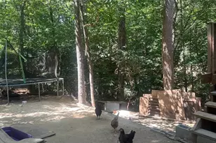 3789 Cherokee Overlook Dr, Canton, GA 30115 - Photo 32