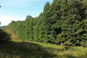 0 Calhoun Rd, Dahlonega, GA 30533 - Photo 1