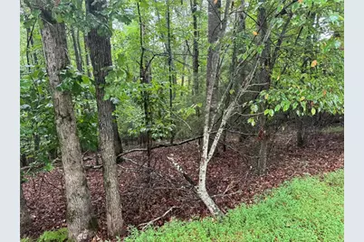 0 Enchanted Woods Drive, Blairsville, GA 30512 - Photo 2