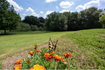 1620 Pond Fork Church Road, Talmo, GA 30575 - Photo 54