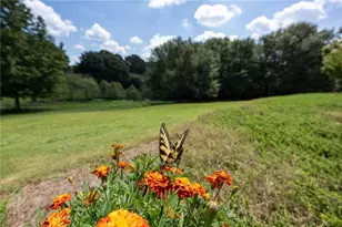 1620 Pond Fork Church Rd, Talmo, GA 30575 - Photo 54