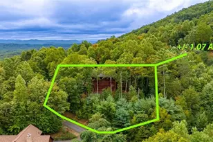 56 Kennebec Dr, Mineral Bluff, GA 30559 - Photo 6