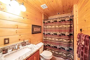 56 Kennebec Dr, Mineral Bluff, GA 30559 - Photo 66