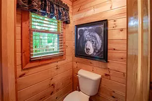 56 Kennebec Dr, Mineral Bluff, GA 30559 - Photo 34