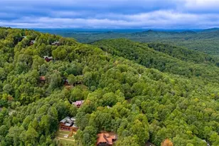 56 Kennebec Dr, Mineral Bluff, GA 30559 - Photo 76