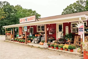 165 Brandle Rose Wy, Hoschton, GA 30548 - Photo 114