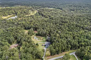 91 Goodlin Rd, Palmetto, GA 30268 - Photo 64