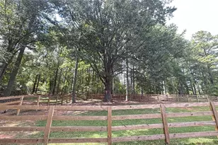 91 Goodlin Rd, Palmetto, GA 30268 - Photo 62