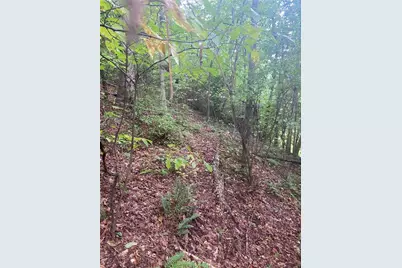 27 Mountain Creek Hollow Drive, Talking Rock, GA 30175 - Photo 12